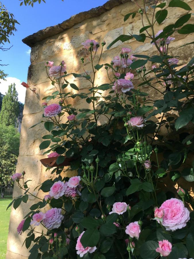Par La Riviere Bed & Breakfast La Roque-Gageac Exterior foto